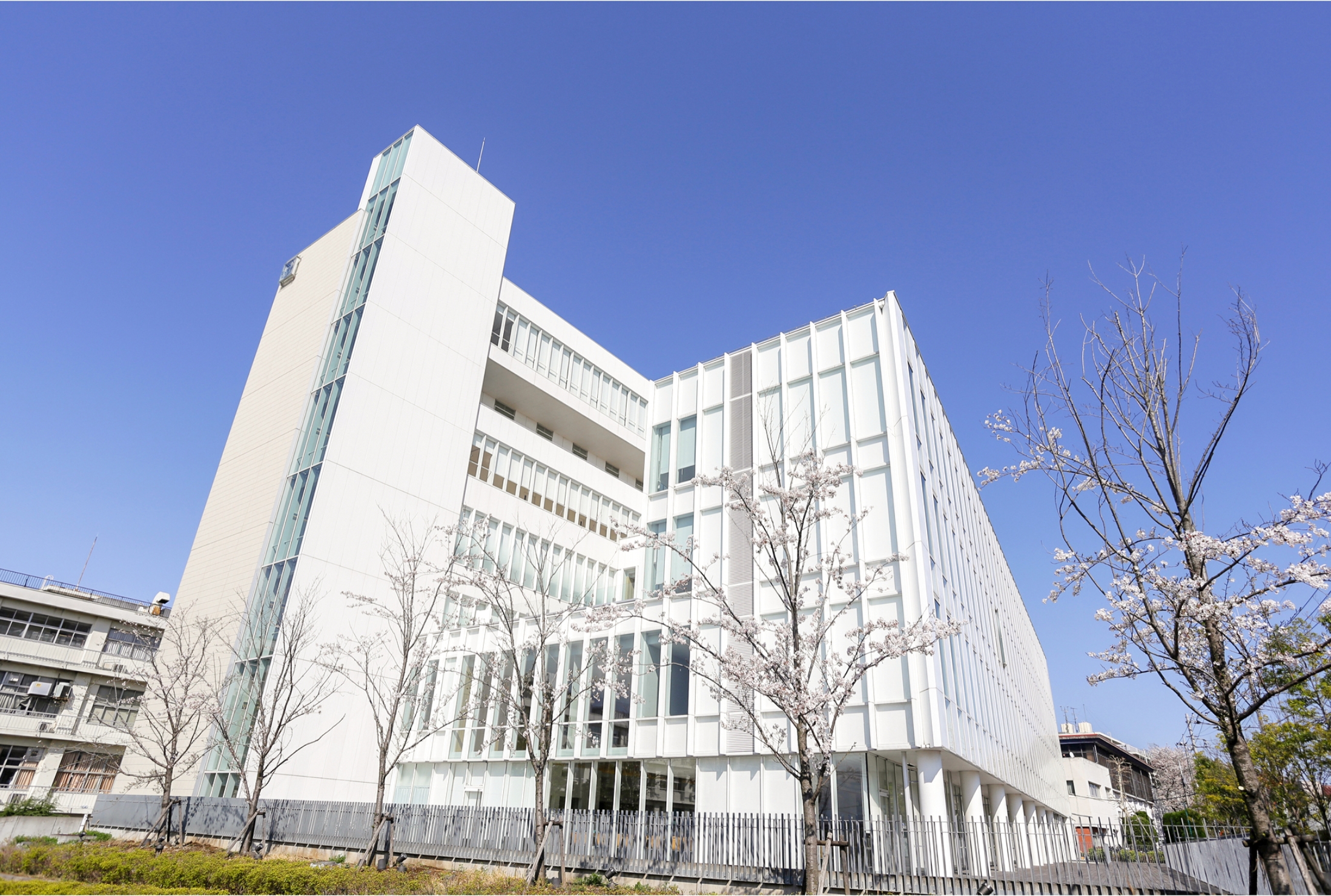 聖マリアンナ医科大学